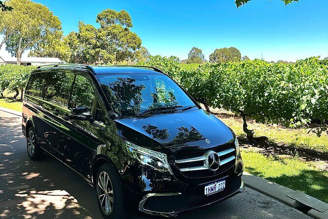 Swan Valley in Style  Luxury Private Driver Day Tour - Key Points