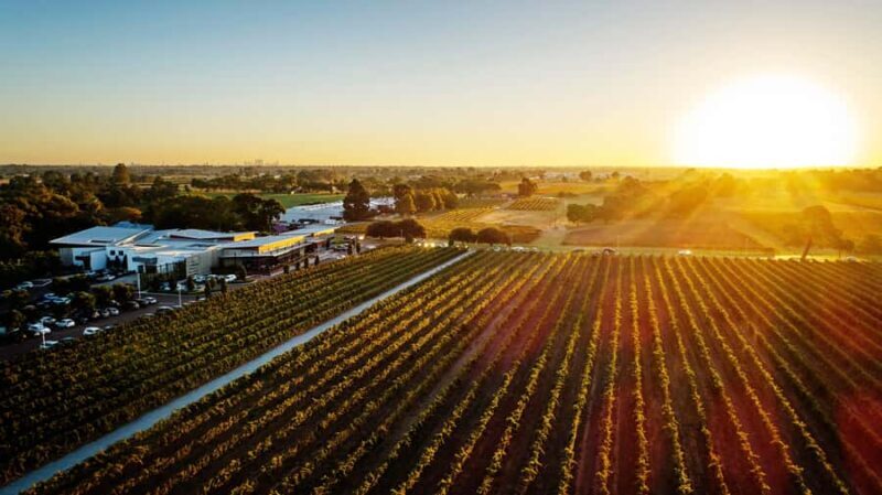Swan Valley: Mandoon Estate Cellar Door Wine & Canape Flight - Key Points