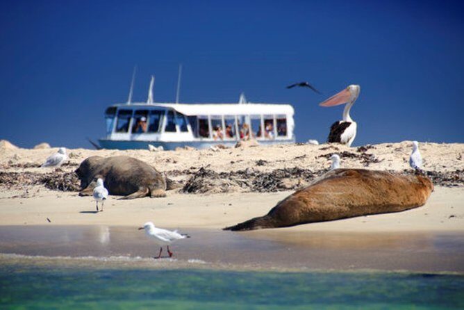 Swan Valley Wine Cruise - Practical Details and Tips