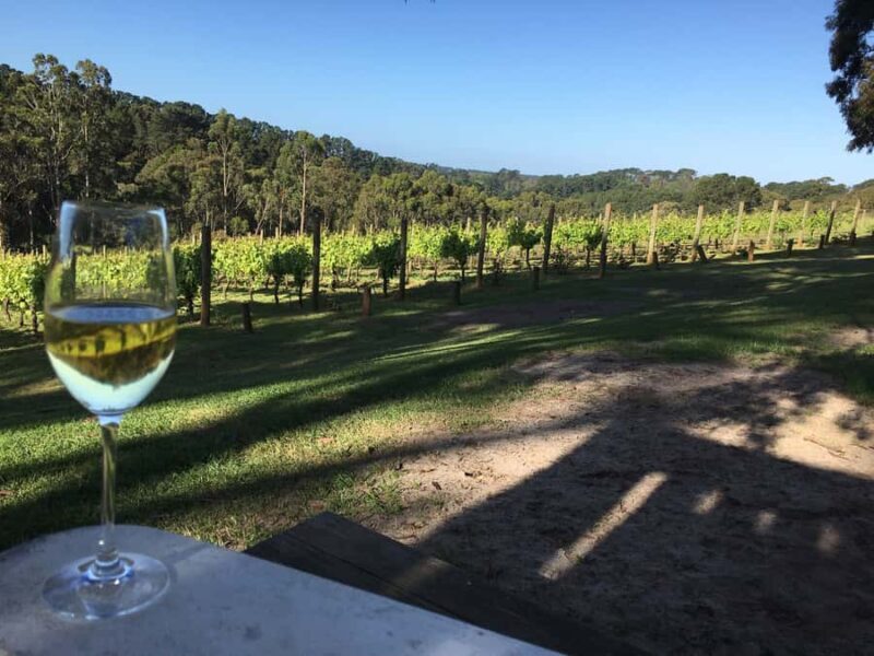 Swan Valley Wine Discovery: Private Tour from Perth - Discovering Swan Valley’s Charm
