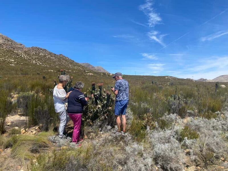 Swartberg: Half Day Hiking Adventure - Key Points