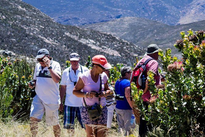 Swartberg Pass Tour including Traditional Karoo Lunch - Why This Tour Gets It Right