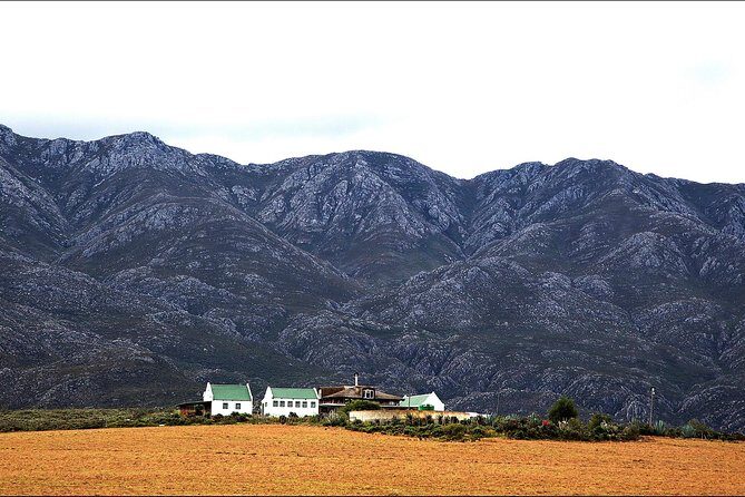 Swartberg Pass Tour including Traditional Karoo Lunch - Authentic Insights from Reviewers