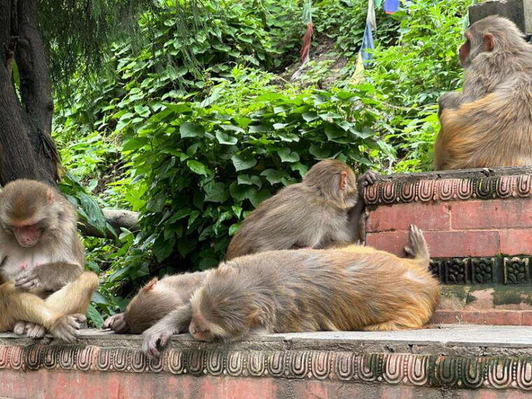 swayambhunath-a-photographers-pilgrimage
