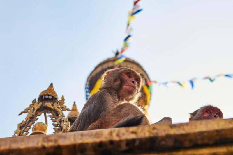 Swayambhunath: Sunset and City Lights Tour - Practical Tips for Your Visit