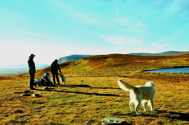 swedish-lapland-a-trekking-week-with-helicopterflight