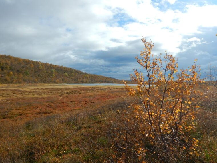 swedish-lapland-a-trekking-week-with-helicopterflight