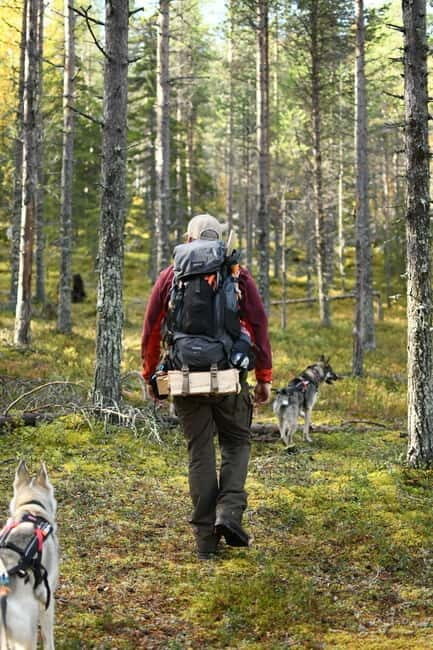 Swedish Lapland: Guided Summer Hiking Tour with Lunch - Key Points