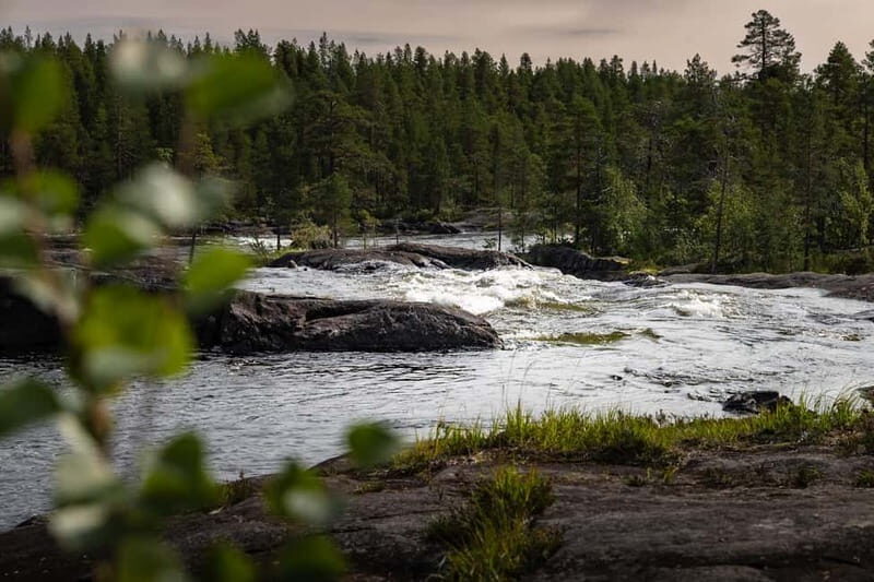 Swedish Lapland: Midnight Sun Photography Workshop - Final Thoughts