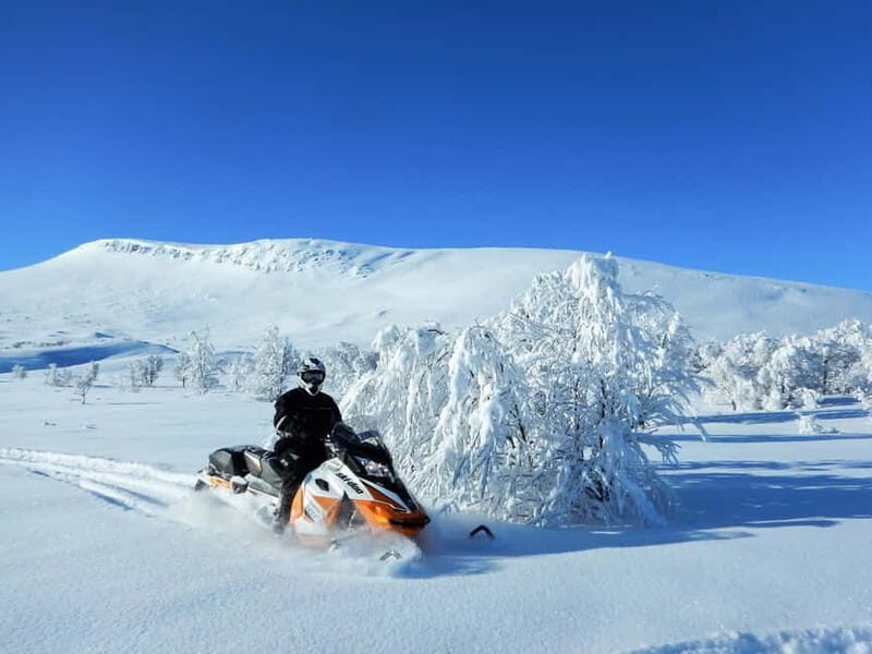 Swedish Lapland: Snowmobile safari - Key Points
