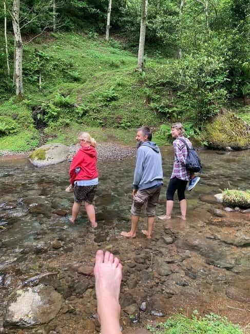 Sweet excursion and Mtirala forest - Who Should Consider This Tour?