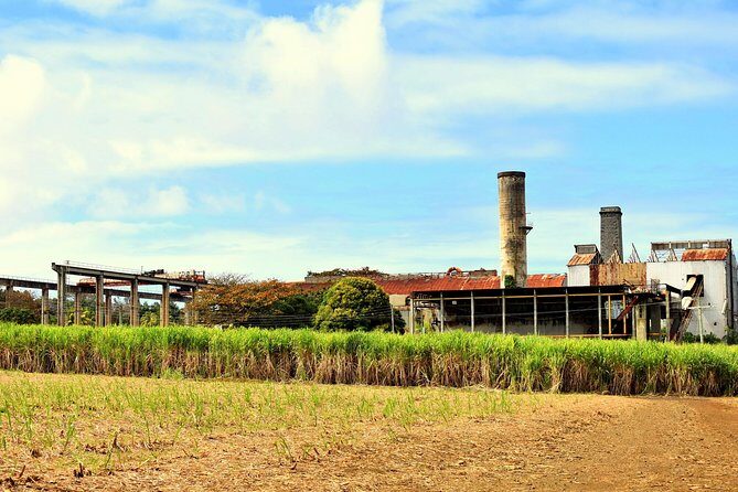 Sweet Scenic 30KM - Exploring the Itinerary: What to Expect