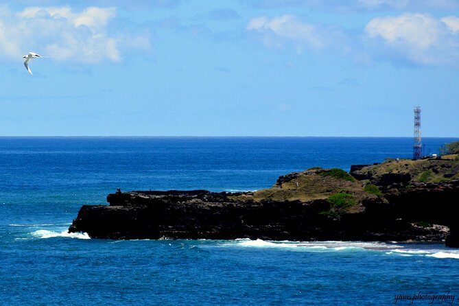 Sweet Scenic 30KM - Who Should Consider This Tour?