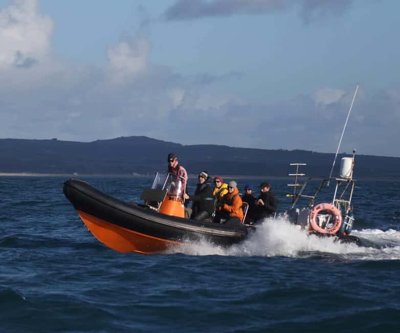 Swim and Snorkel with Seals. Boat Trip Penzance Cornwall - Key Points