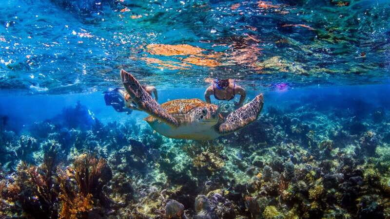 Swim in a Cenote, Snorkel with Turtles in Akumal and Beach Club + Food - The Value of This Tour