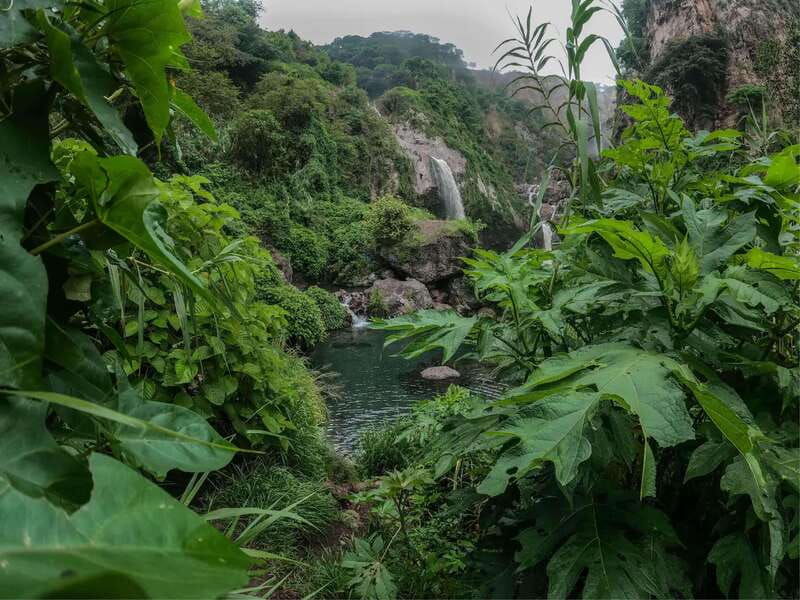 swim-in-lush-springs-and-waterfalls-in-guadalajara