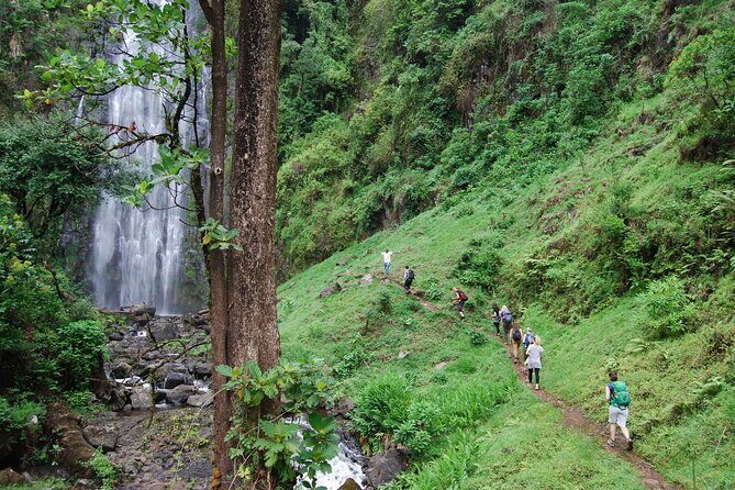 Swim to Materuni and Kikuletwa Hotspring - Exploring the Itinerary: What to Expect and Why It Matters
