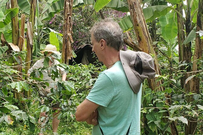 Swim to Materuni and Kikuletwa Hotspring - Why This Tour Offers Great Value