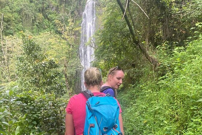 Swim to Materuni and Kikuletwa Hotspring - Who Should Book This Tour?
