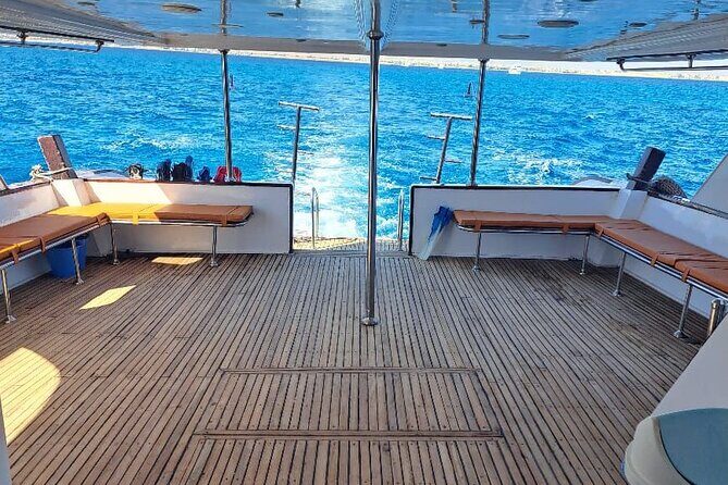 Swim with Dolphin Boat Trip with Snorkeling and Transfer Hurghada - The Sum Up