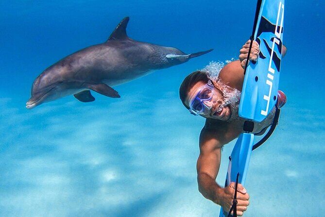 Swim with dolphin By Private Speed Boat and Sub wing Game - Hurghada - The Sum Up