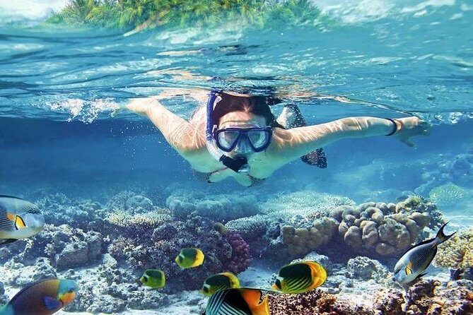 Swim with Dolphins Sea Trip, Water Sport With Lunch and Transfer - Hurghada - FAQ
