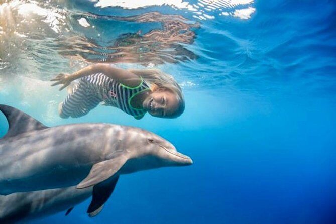 Swim with Dolphins Semi Private Speedboat Sea Tour - Hurghada - Dolphin House: The Heart of the Tour