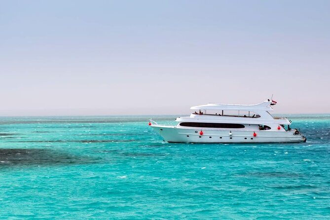 Swim with Dolphins & Snorkeling in Hurghada  Boat Trip & Lunch - Authentic Insights from Past Travelers