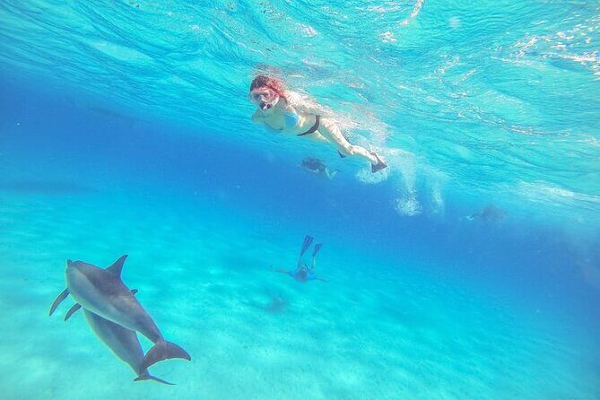 Swim with Dolphins & Snorkeling in Hurghada  Boat Trip & Lunch - Final Thoughts: Why This Tour is a Solid Choice