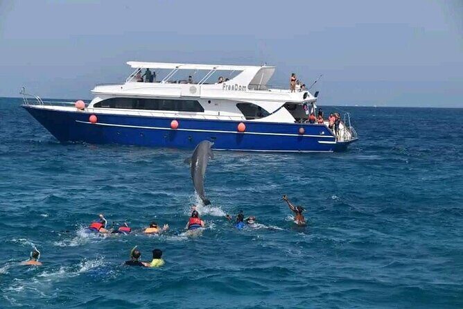 Swim with Dolphins VIP snorkeling Boat Trip with lunch - Hurghada - Who Will Love This Tour?