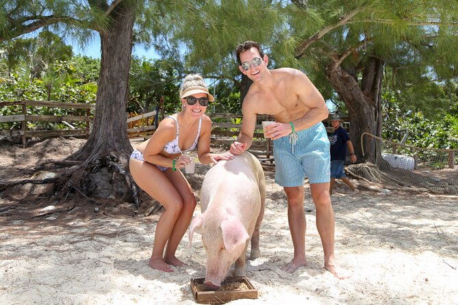 swim-with-famous-pigs-at-rose-island