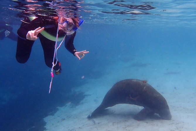 swim-with-manatees-in-crystal-river-florida