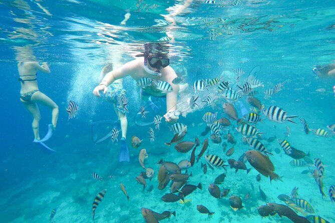 Swim With Manta Rays Snorkeling Nusa Penida - The Experience: From Booking to Departure