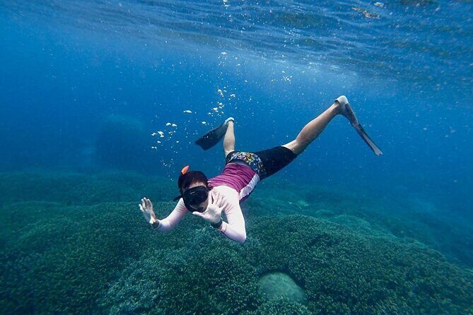 Swim With Manta Rays Snorkeling Nusa Penida - The Review Insights: Authentic Perspectives