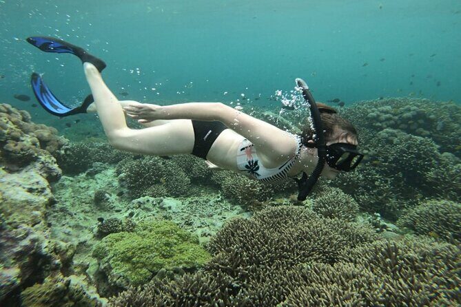 Swim With Manta Rays Snorkeling Nusa Penida - Who Is This Tour Best For?