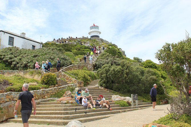 Swim with Penguins At Boulders Chapman's Peak Exc Entry Fees - Who Is This Tour Best For?