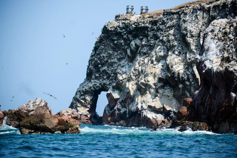 swim-with-sealion-on-palomino-island