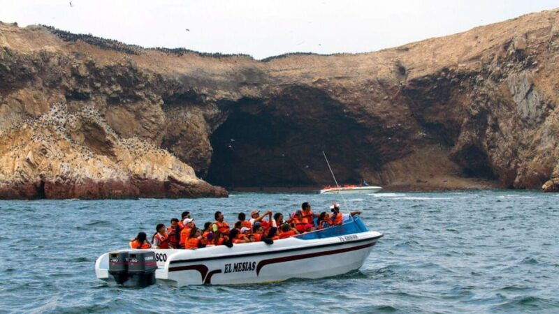 swim-with-sealion-on-palomino-island