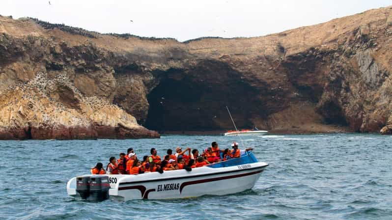 swim-with-sealion-on-palomino-island