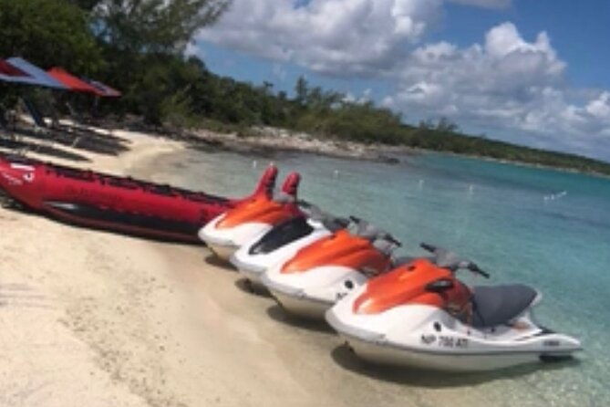 swim-with-the-pigs-and-explore-caves-in-nassau