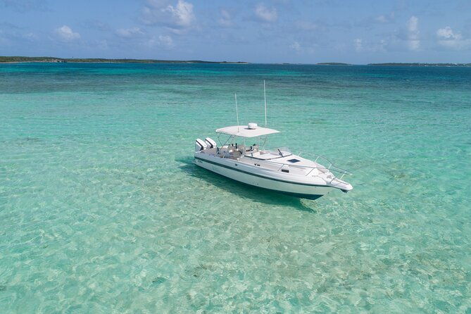 swim-with-the-pigs-half-day-harbour-island-private-boat-tour