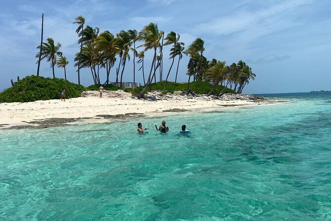 swim-with-the-pigs-safari-in-bahamas-2hrs