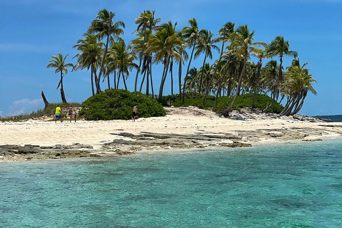 swim-with-the-pigs-safari-in-bahamas-2hrs