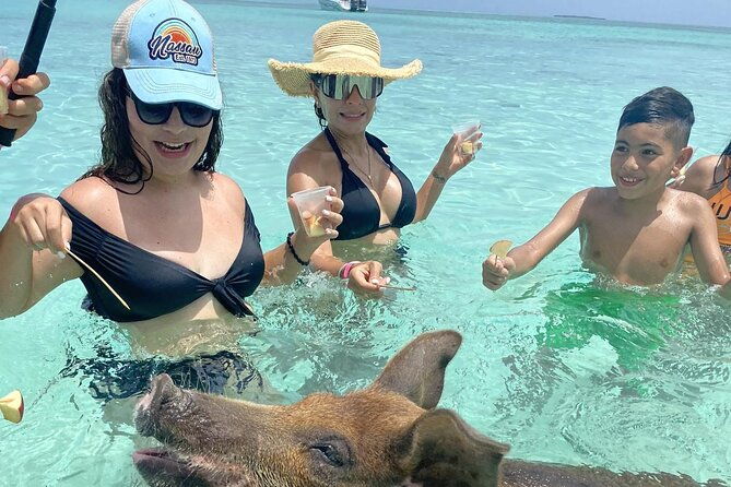 swim-with-the-pigs-safari-in-bahamas-2hrs