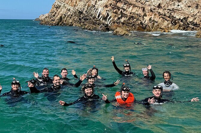 Swim with the Seals in Plettenberg Bay - The Snorkeling Experience — What to Expect