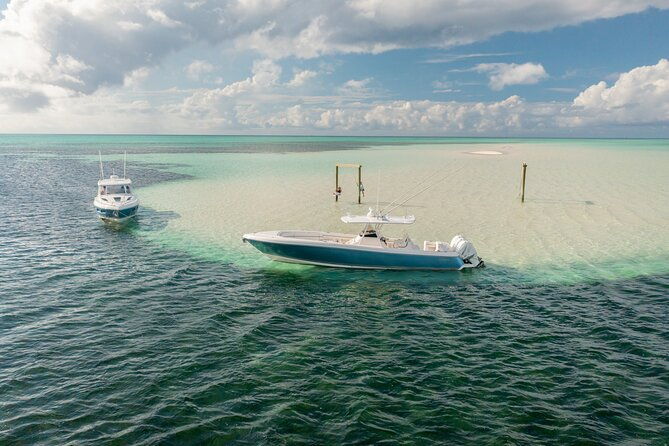 swim-with-the-turtles-harbour-island-luxury-private-boat-tour