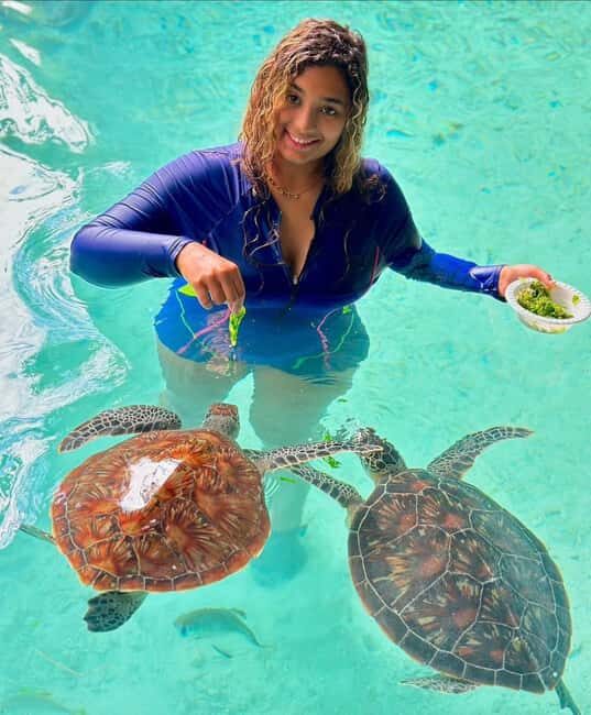 Swim with turtles at Salaam cave & The rock restaurant visit - Swim with Turtles at Salaam Cave & Visit the Rock Restaurant: A Truly Unique Zanzibar Experience