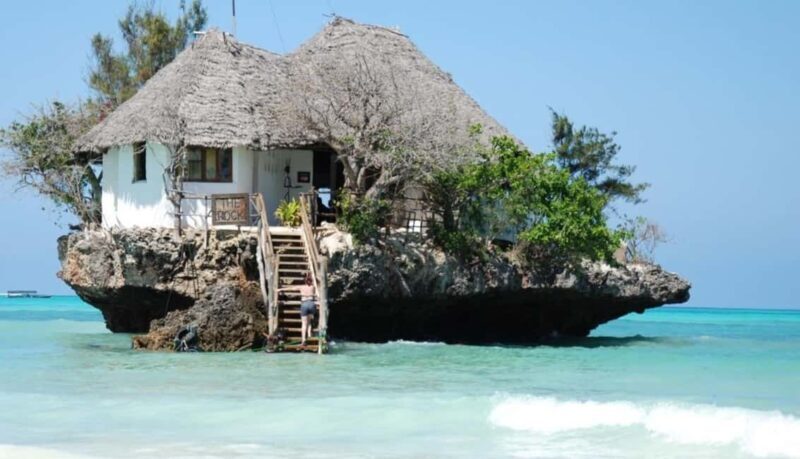 Swim with turtles at Salaam cave & The rock restaurant visit - Exploring Salaam Cave: A Wildlife Encounter Like No Other