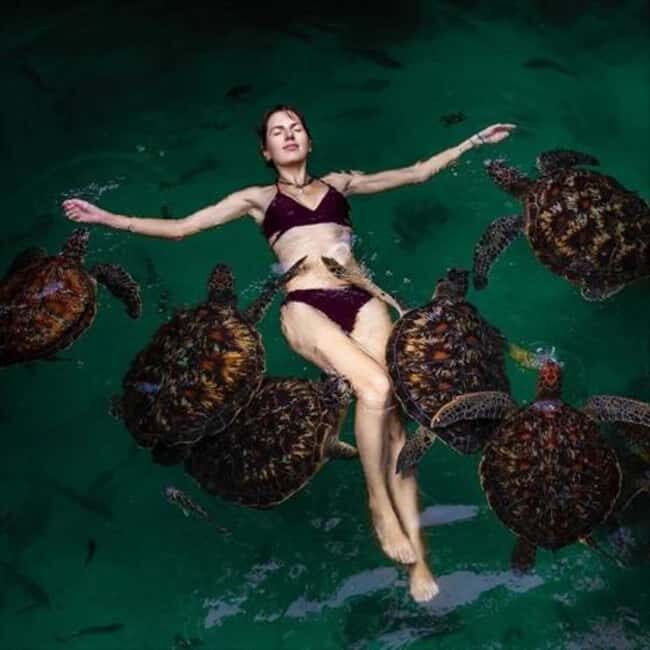 Swim with turtles at Salaam cave & The rock restaurant visit - Combining Adventure and Relaxation: What the Tour Includes and Omits