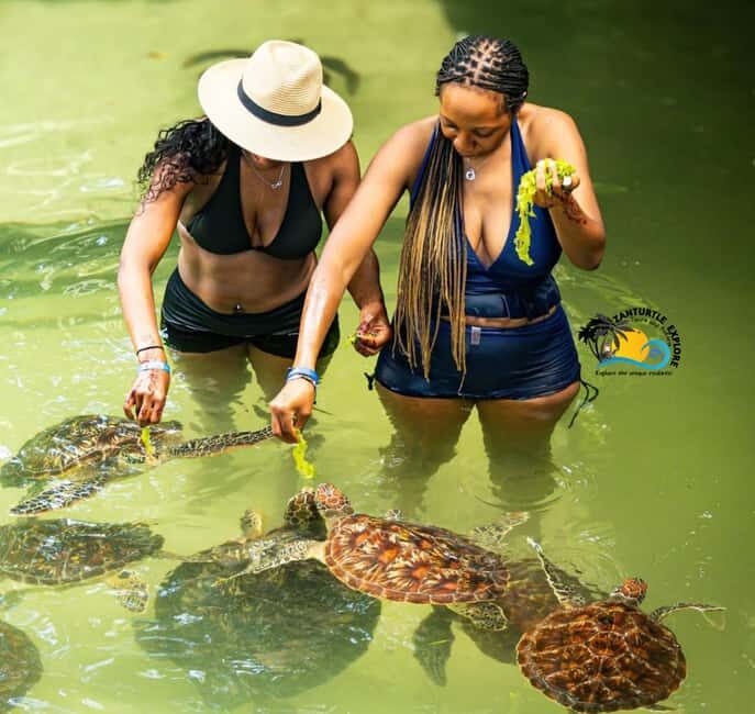Swim with Turtles at The Lagoons Zanzibar & Stone Town Tour - Detailed Breakdown of the Tour Experience